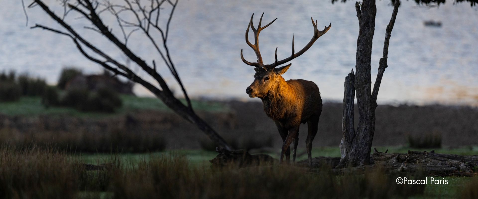 Découvrir la moselle