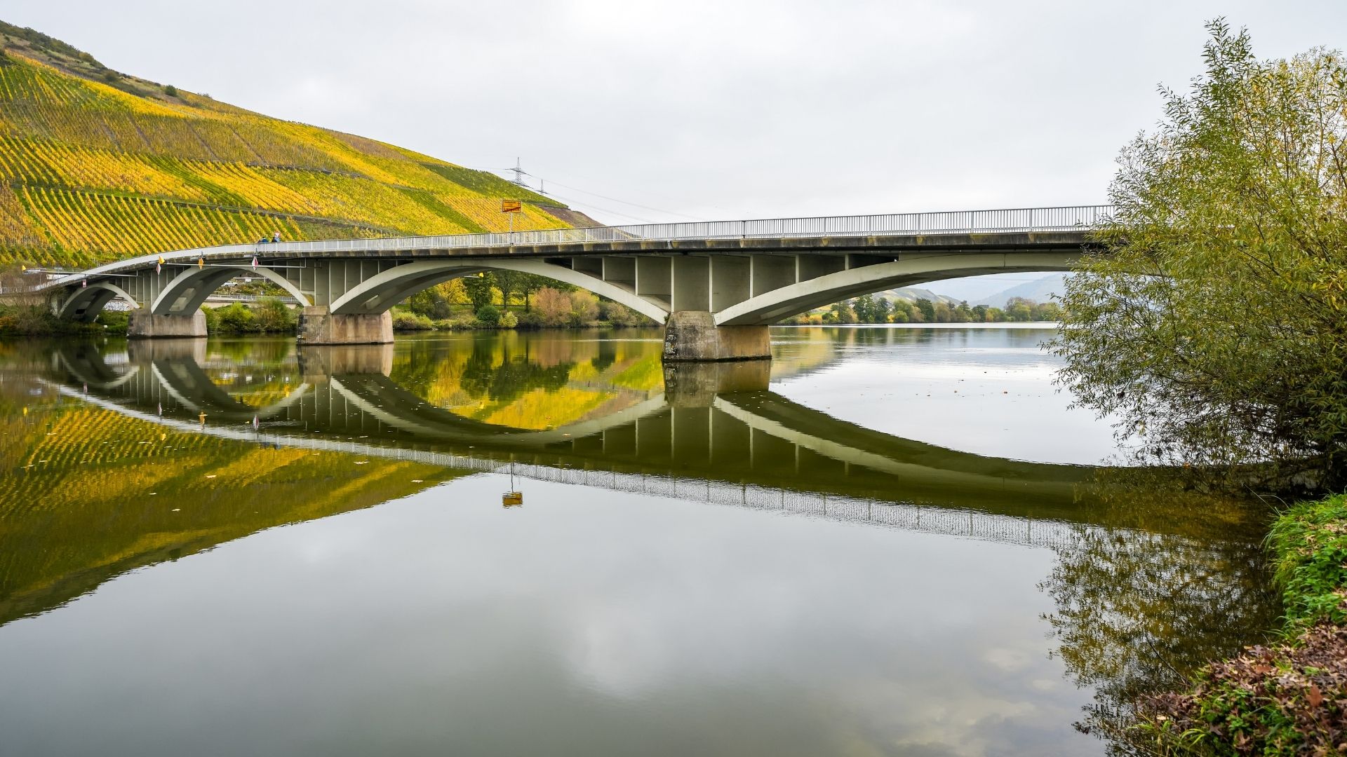 Découvrir la moselle