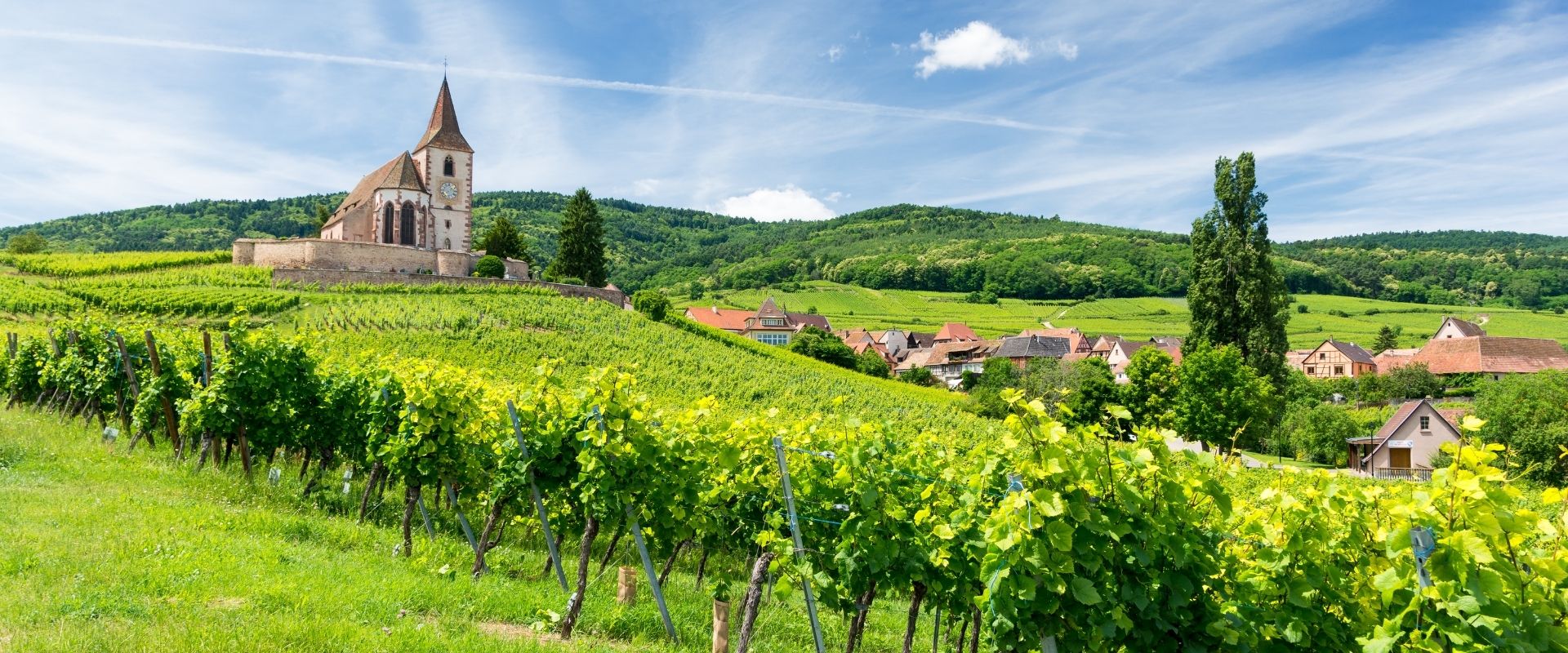 Découvrir le haut rhin