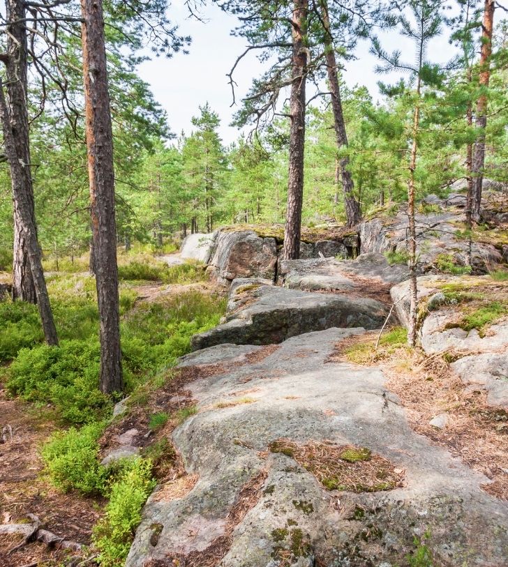 decouvrez la meuse foret ambiance