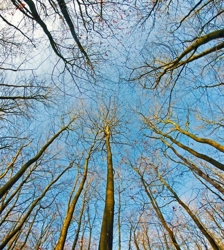 la marne terre et histoire