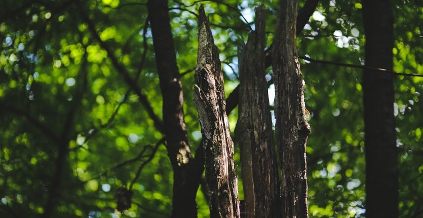 la meuse frhpa grand est