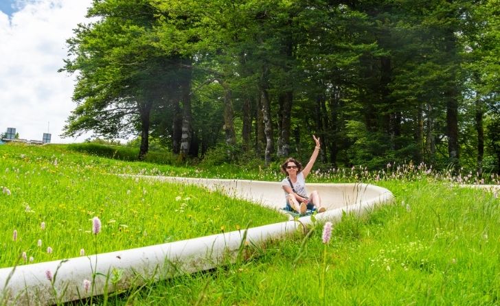 lue d'été frhpa grand est