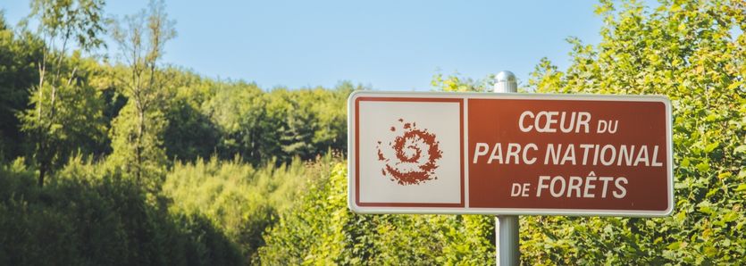 parc naturel des forêts