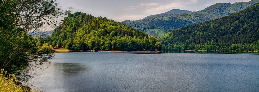 route des cretes et paysage haut rhin