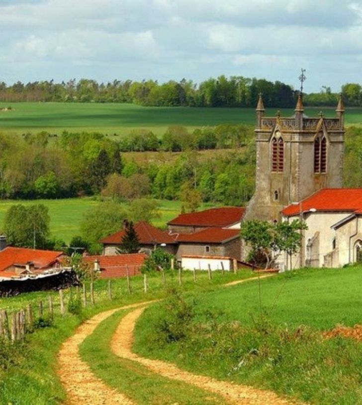 vignes en meurthe et moselle